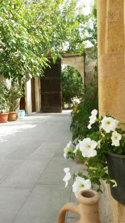 Karadut Cave Hotel - image 18
