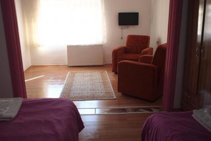 Emre's Stone House - image 21